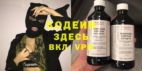 гидра Надым