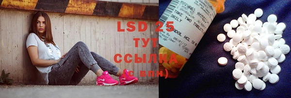 гидра Надым