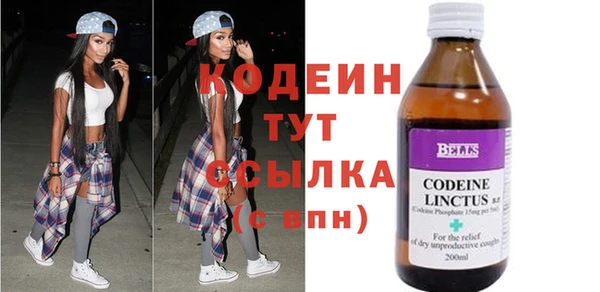 гидра Надым