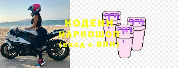 гидра Надым