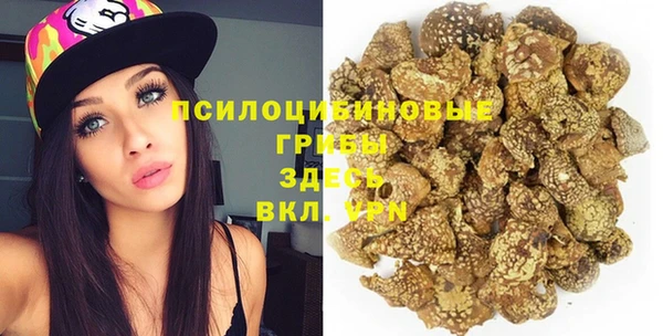 гидра Надым