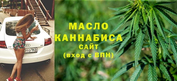 гидра Надым