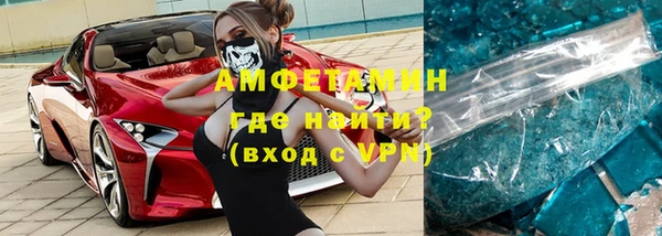 гидра Надым