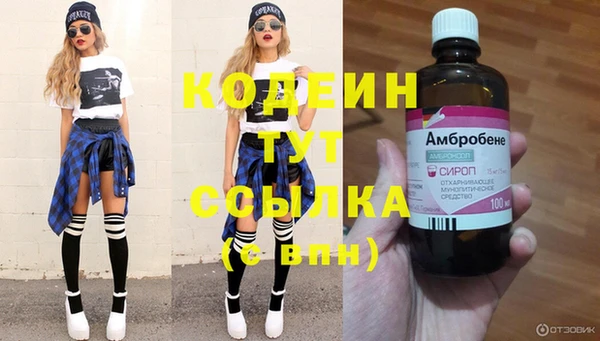 гидра Надым
