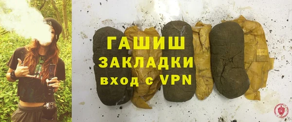 гидра Надым