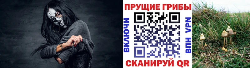 Псилоцибиновые грибы мухоморы Нальчик
