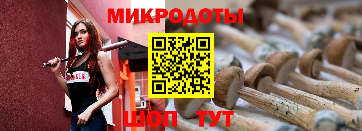 Нальчик  Галлюциногенные грибы прущие грибы  Вход с VPN 